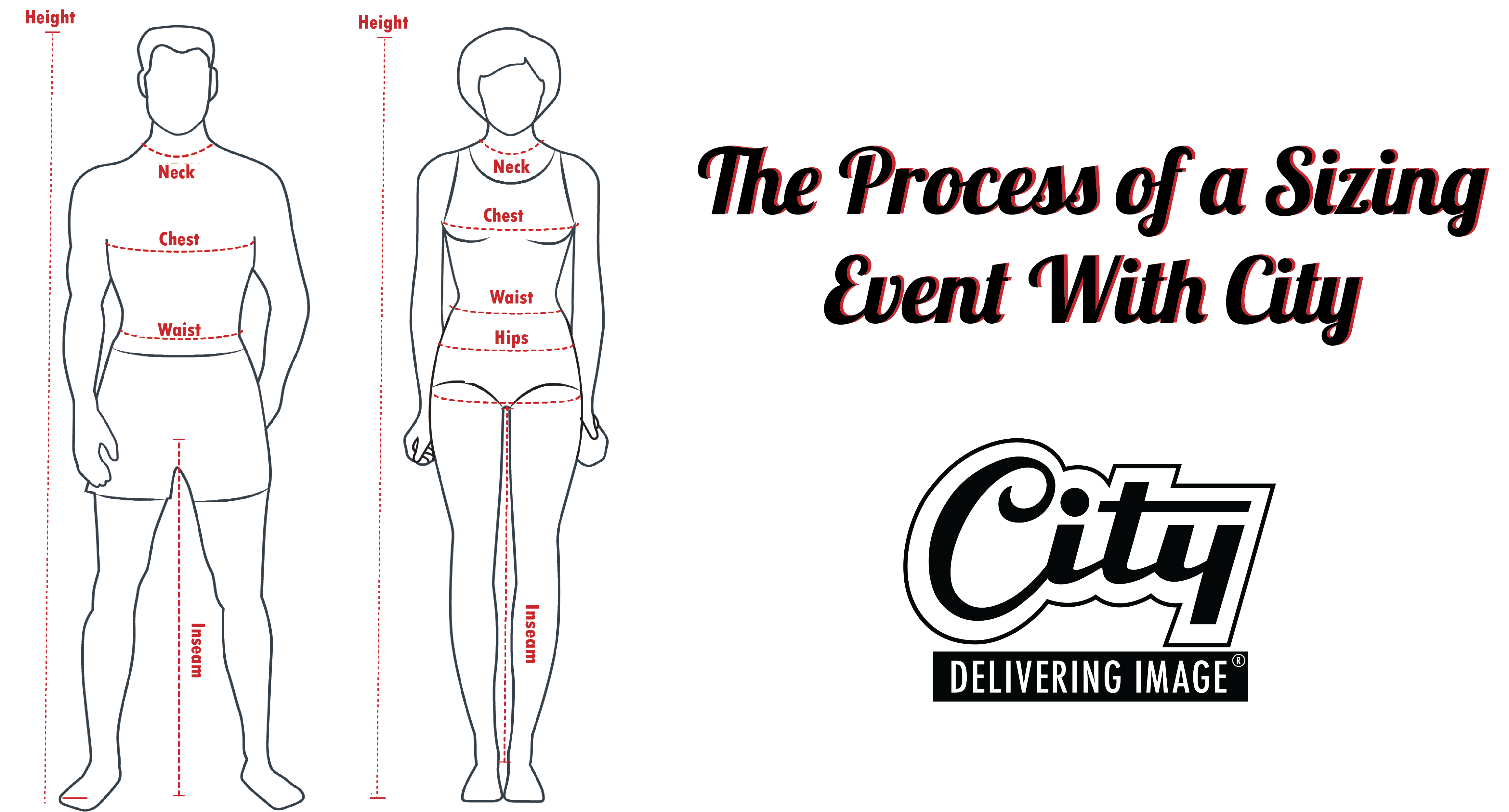 decription of the different body measurements
